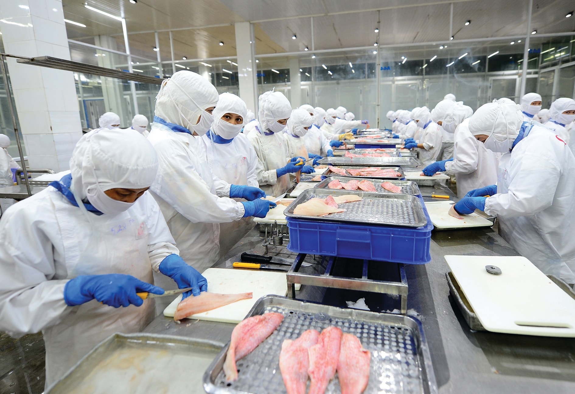 y-y-y-y.-en-foto-de-procesamiento-de-mariscos-para-exportación-en-cafatex-seafood-joint-stock-company-can-tho-city-.-anh-tran-quoc-2-.jpg