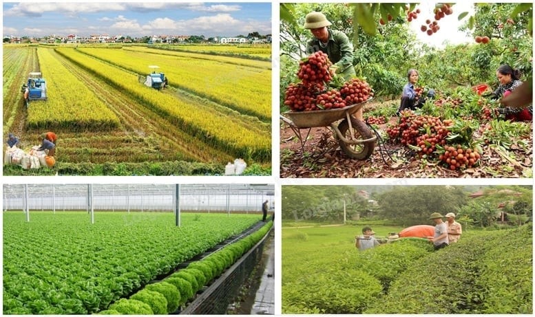 Ngành Nông nghiệp và Môi trường: Từ trụ đỡ đến động lực phát triển xanh