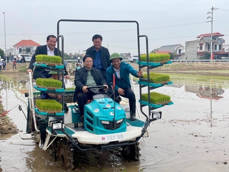 Ngành Nông nghiệp và Môi trường: Từ trụ đỡ đến động lực phát triển xanh