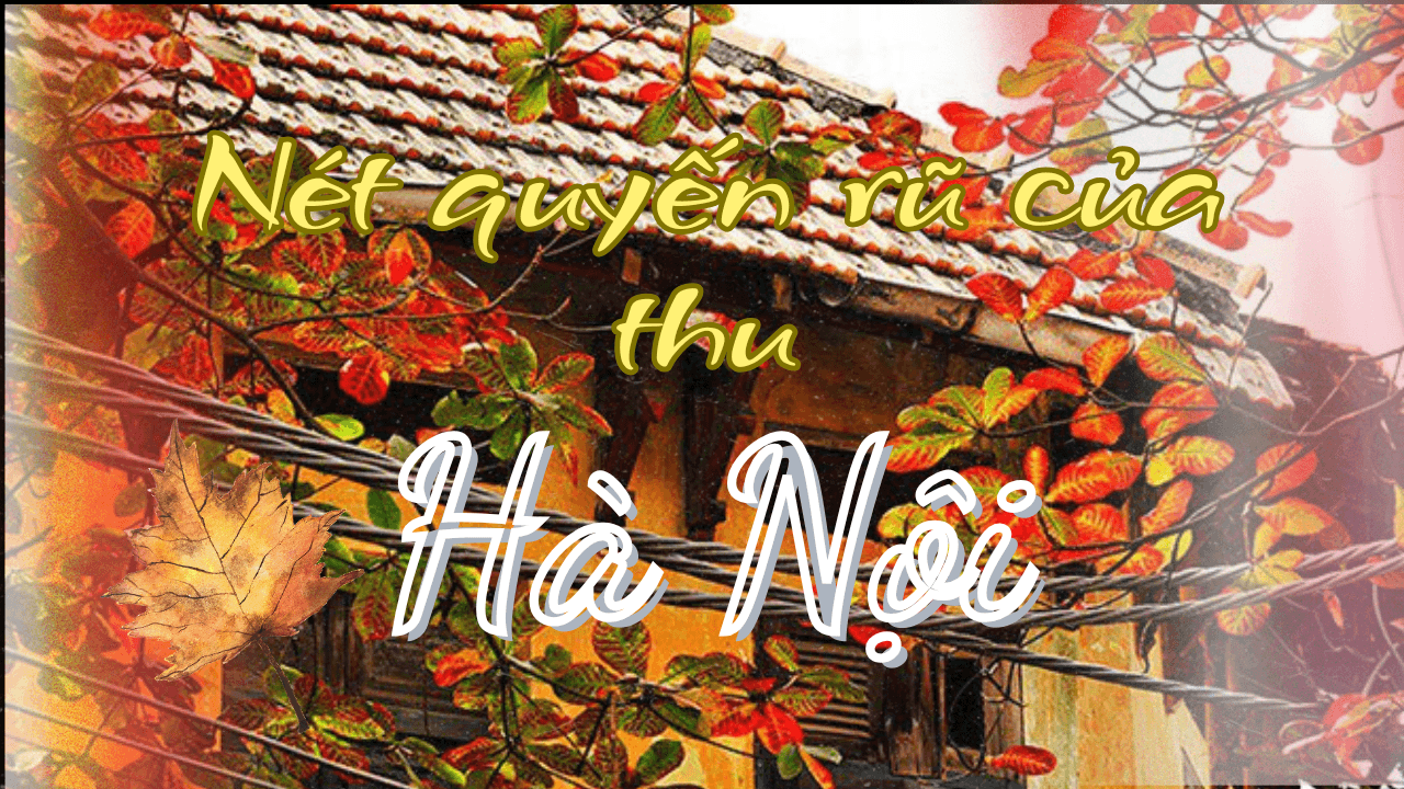 Podcast Tản văn: Nét quyến rũ của Thu Hà Nội….. Podcast Tản văn: Nét quyến rũ của Thu Hà Nội…..