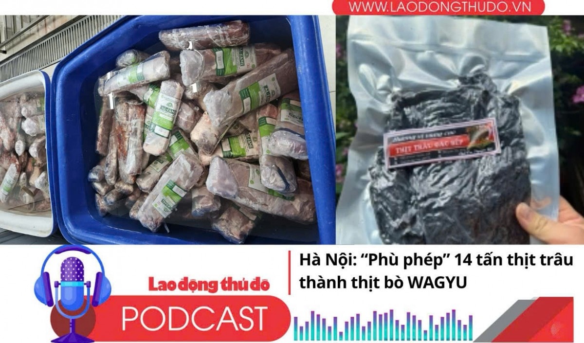 Điểm những tin nổi bật tối ngày 14/10/2025: Hà Nội: “Phù phép” 14 tấn thịt trâu thành thịt bò WAGYU