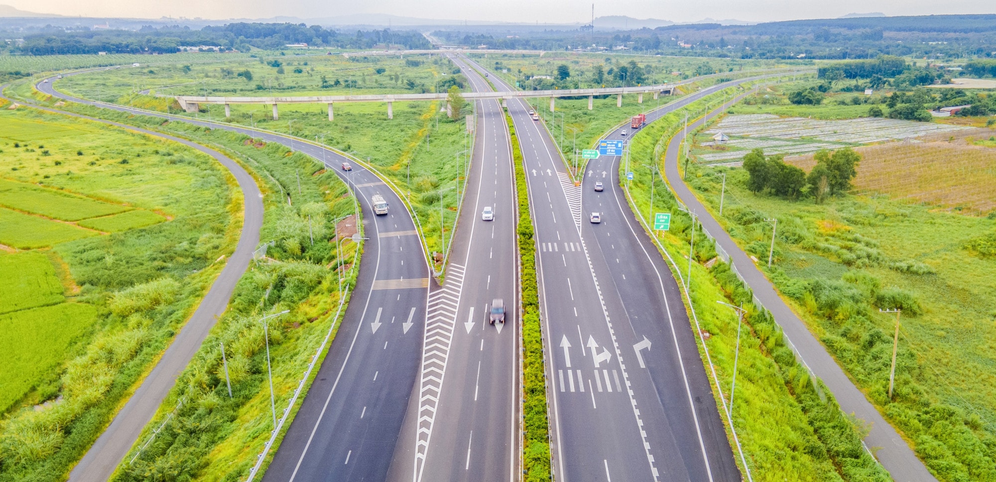 a505.ltdg.jpg
