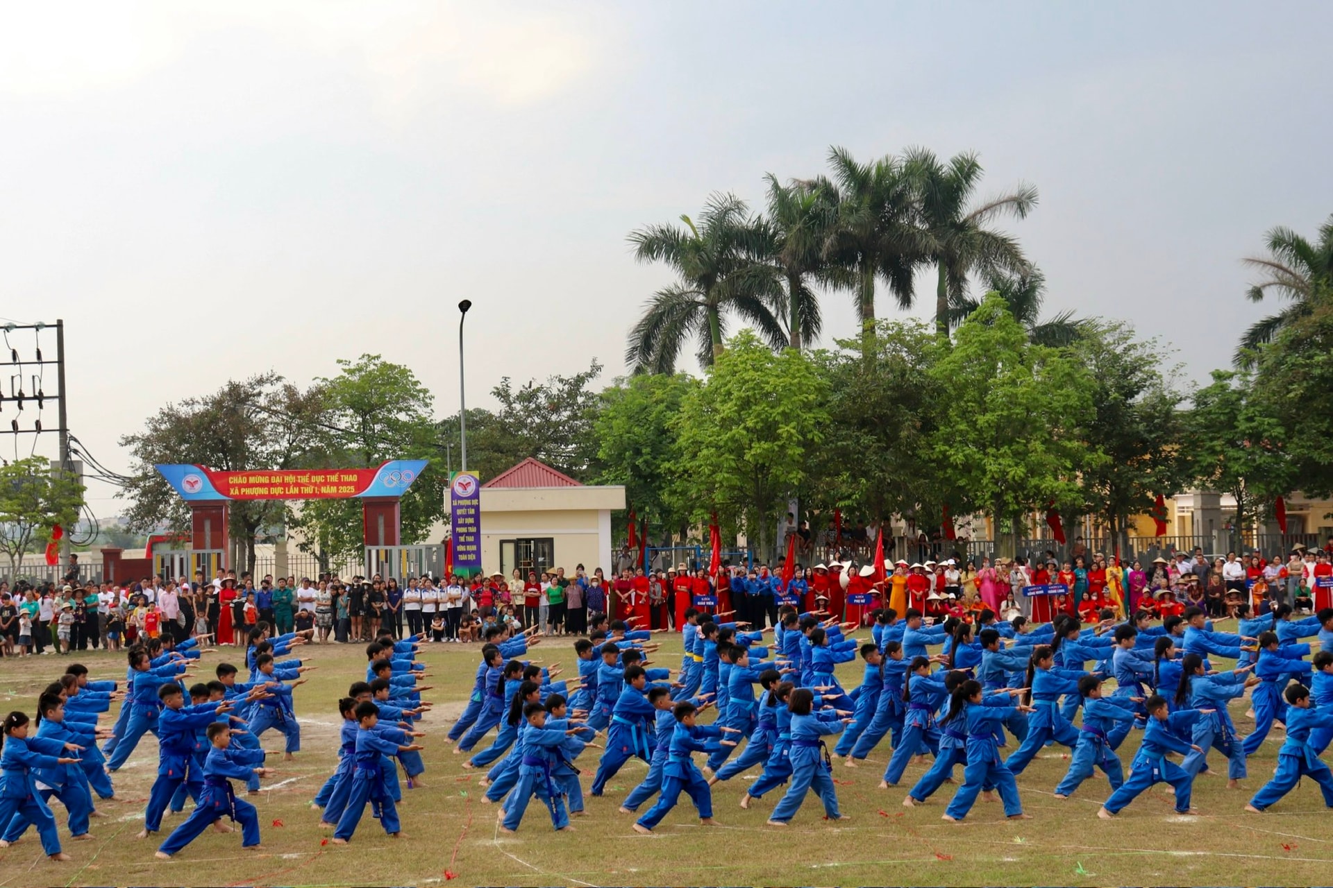 pd6.jpg