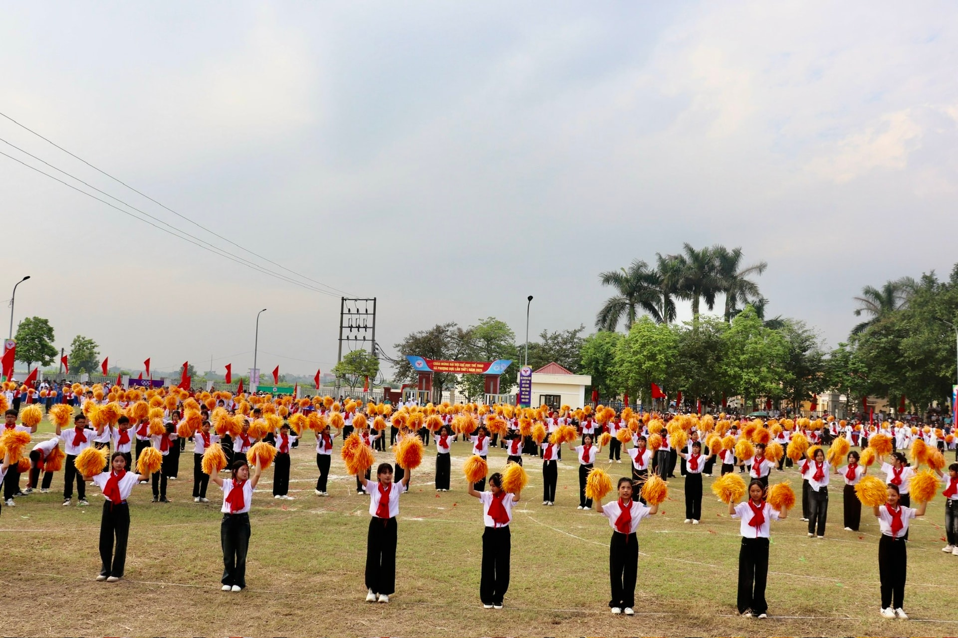 pd67.jpg