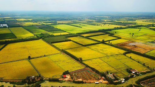 Chính phủ thông qua nội dung dự thảo về một số cơ chế, chính sách tháo gỡ khó khăn, vướng mắc trong thi hành Luật Đất đai- Ảnh 1. Chính phủ thông qua nội dung dự thảo về một số cơ chế, chính sách tháo gỡ khó khăn, vướng mắc trong thi hành Luật Đất đai- Ảnh 1.