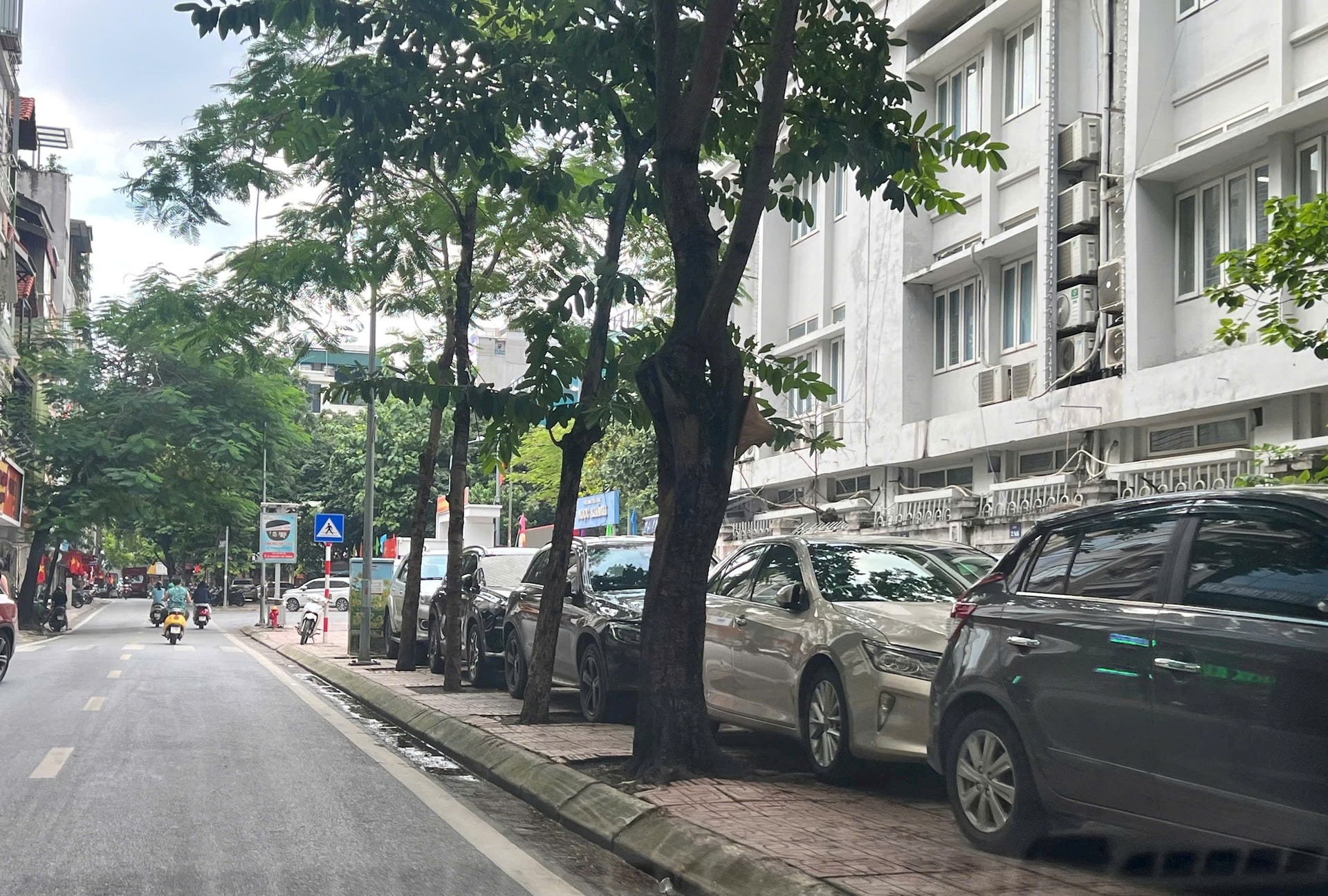 ng-cong-hoan.jpg