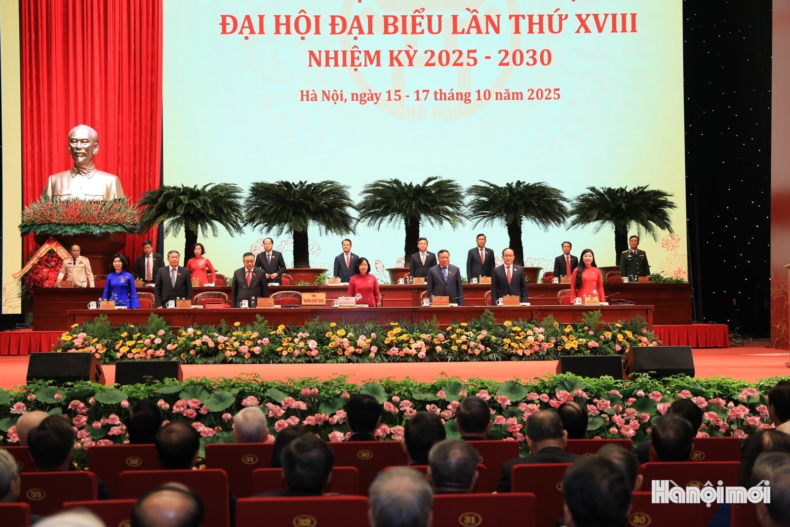 vip-hn-db-.jpg
