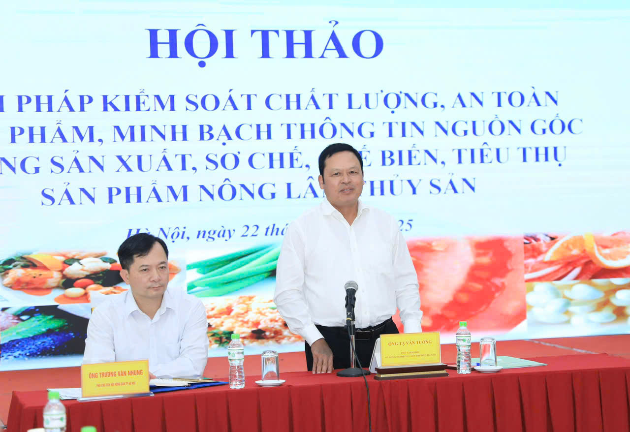 tavantuong1.jpg