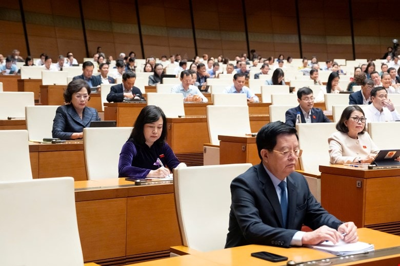 representant-2.jpg