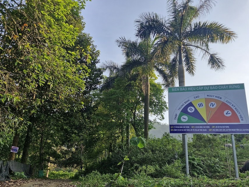 rung-quoc-oai2.jpg