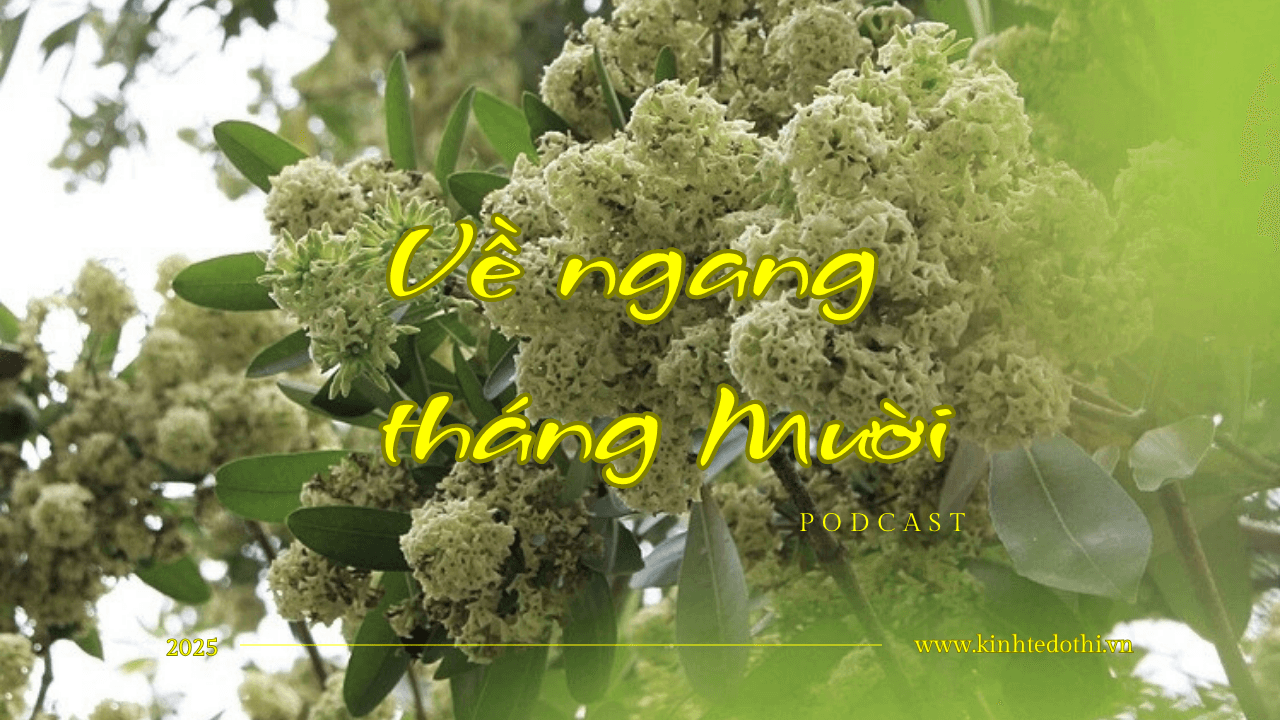 Podcast Tản văn: Về ngang tháng Mười Podcast Tản văn: Về ngang tháng Mười