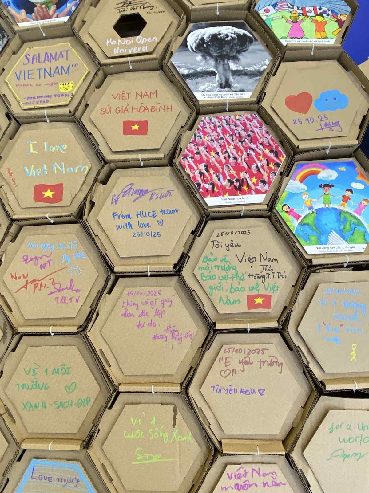 548-202510270653232.jpg