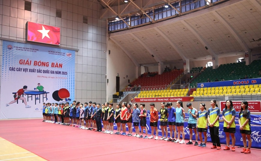 مجموعة من 28 كرة مع كرات طائرة ممتازة - qg.jpeg