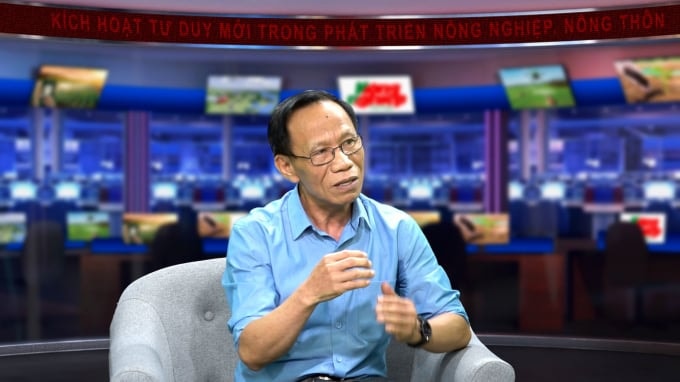 chuyen-gia-hoang-trong-thuy.jpeg