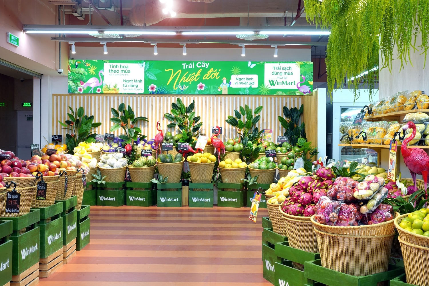 khu-vuc-trai-cay-nhiet-doi-voi-nhieu-thuc-qua-da-dang-duoc-bay-ban-tai-winmart.jpg