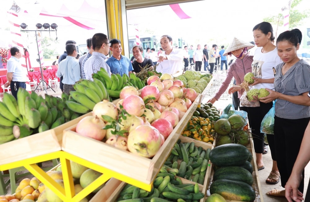 Minh Châu - điểm đến du lịch yên bình, nên thơ giữa sông Hồng