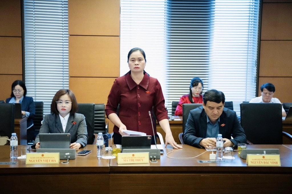 Đại biểu Ma Thị Thúy - Đoàn ĐBQH tỉnh Tuyên Quang phát biểu. Ảnh Cao Hoàng