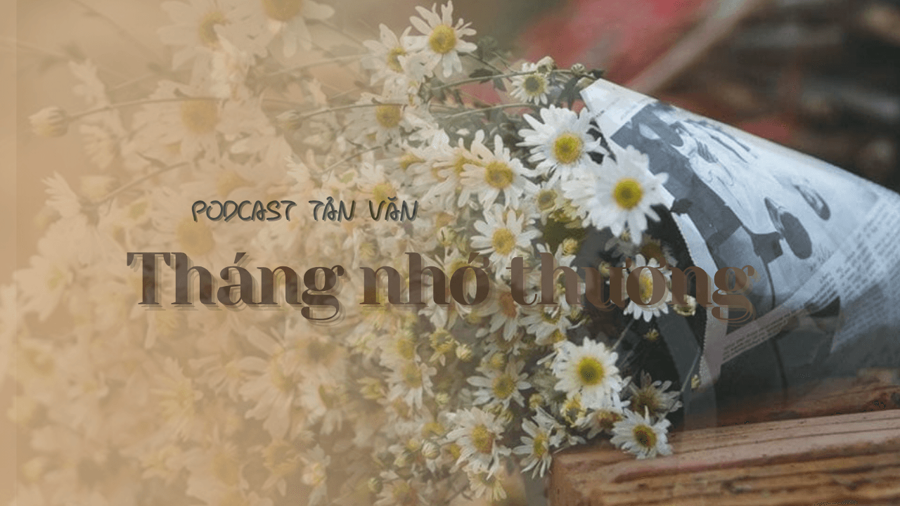 Podcast Tản văn: Tháng 11 nhớ thương!