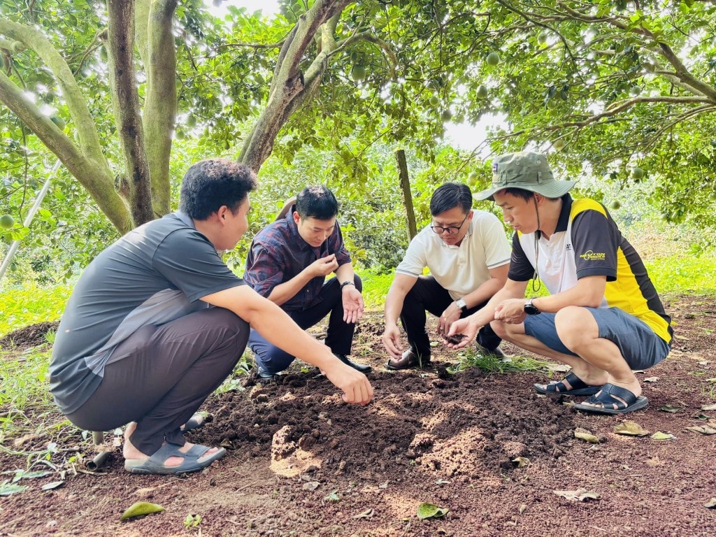 Các nhà khoa học ứng dụng nghiên cứu vào thực tế để phát triển kinh tế xanh