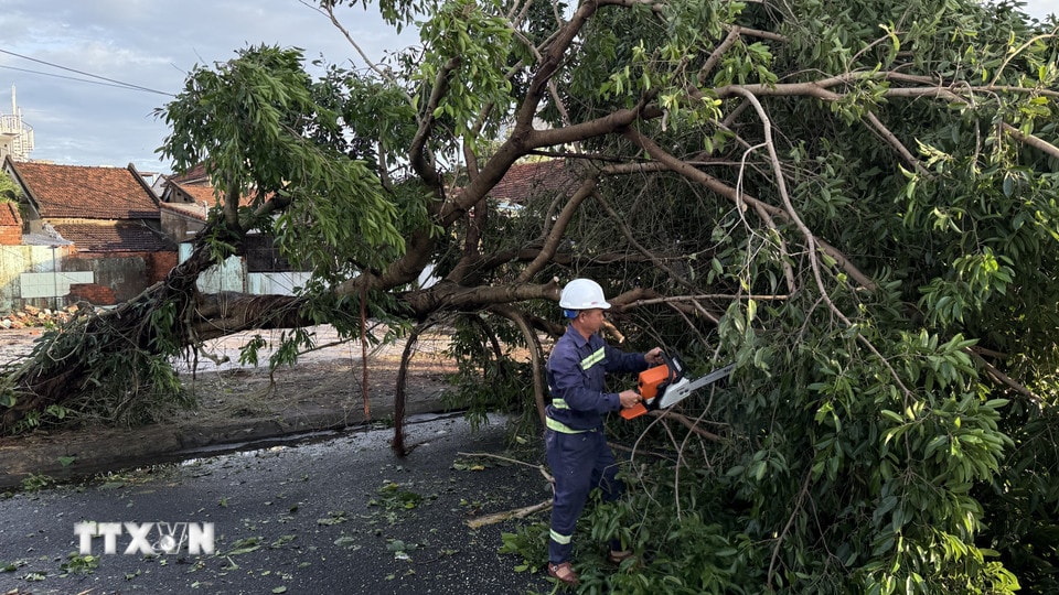 Công nhân môi trường khắc phục cây xanh bị ngã. (Ảnh: Tường Quân/TTXVN)