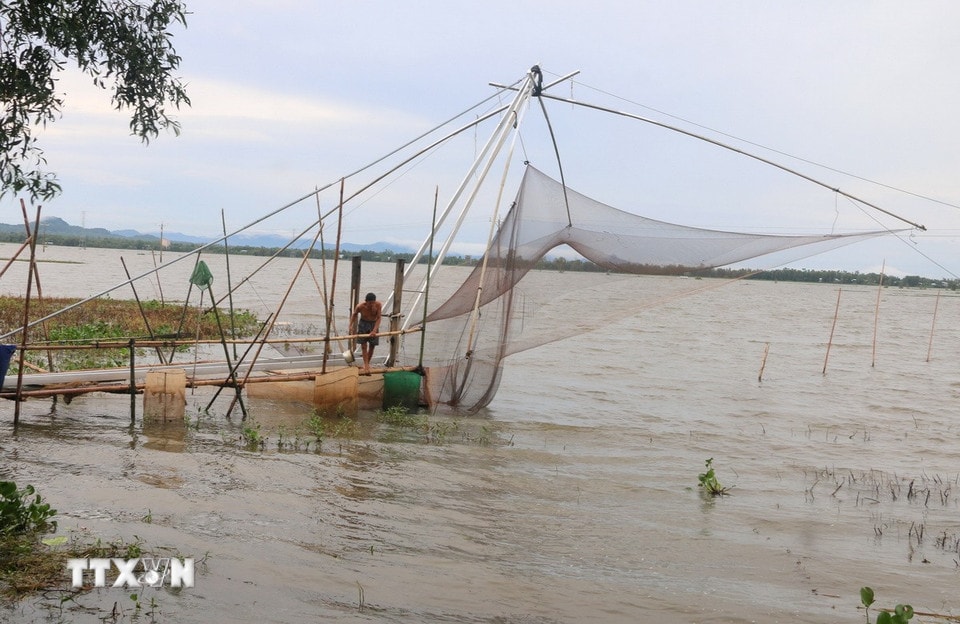Người dân đặt những khung vó đồ sộ tại cánh đồng mùa nước nổi gần kênh Tha La (phường Vĩnh Tế, tỉnh An Giang) để đánh bắt cá tôm mùa lũ. (Ảnh: Công Mạo/TTXVN)
