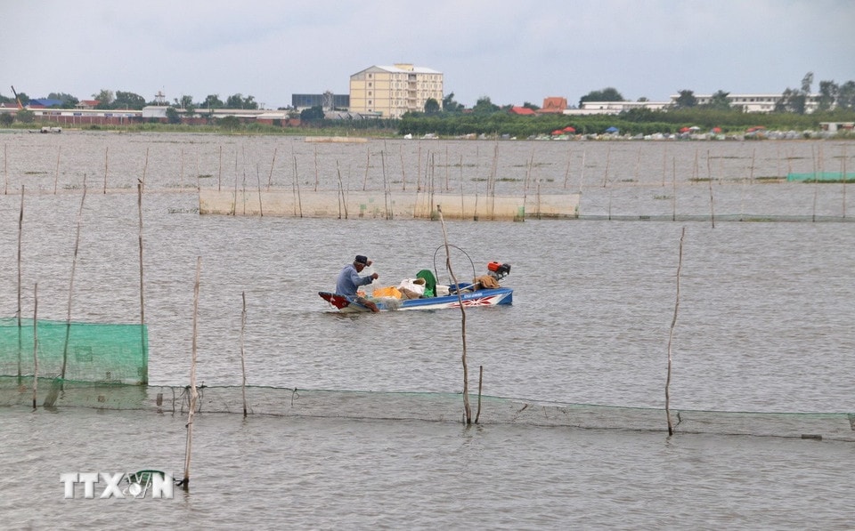 Người dân An Giang đánh bắt cá trên cánh đồng ngập lũ thuộc xã Vĩnh Xương, tỉnh An Giang. (Ảnh: Công Mạo/TTXVN)