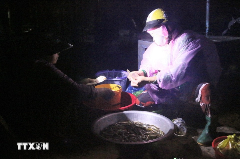 Cảnh mua bán cá đồng mùa lũ ở