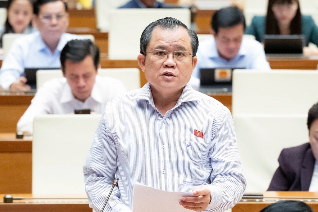 Đại biểu Nguyễn Tâm Hùng (Đoàn ĐBQH TP Hồ Chí Minh)