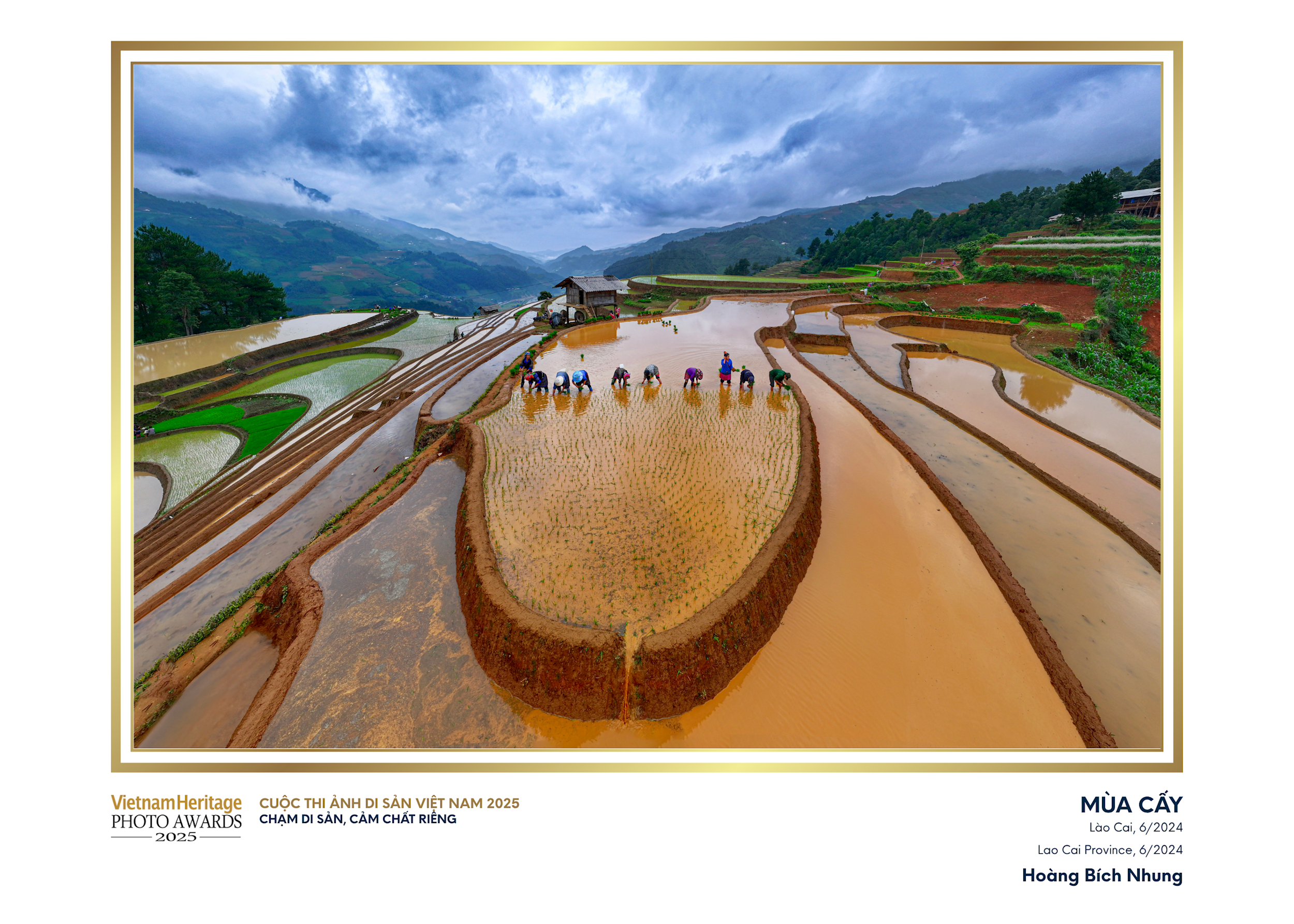 3.-giai-bac-hoang-bich-nhung-mua-cay.png