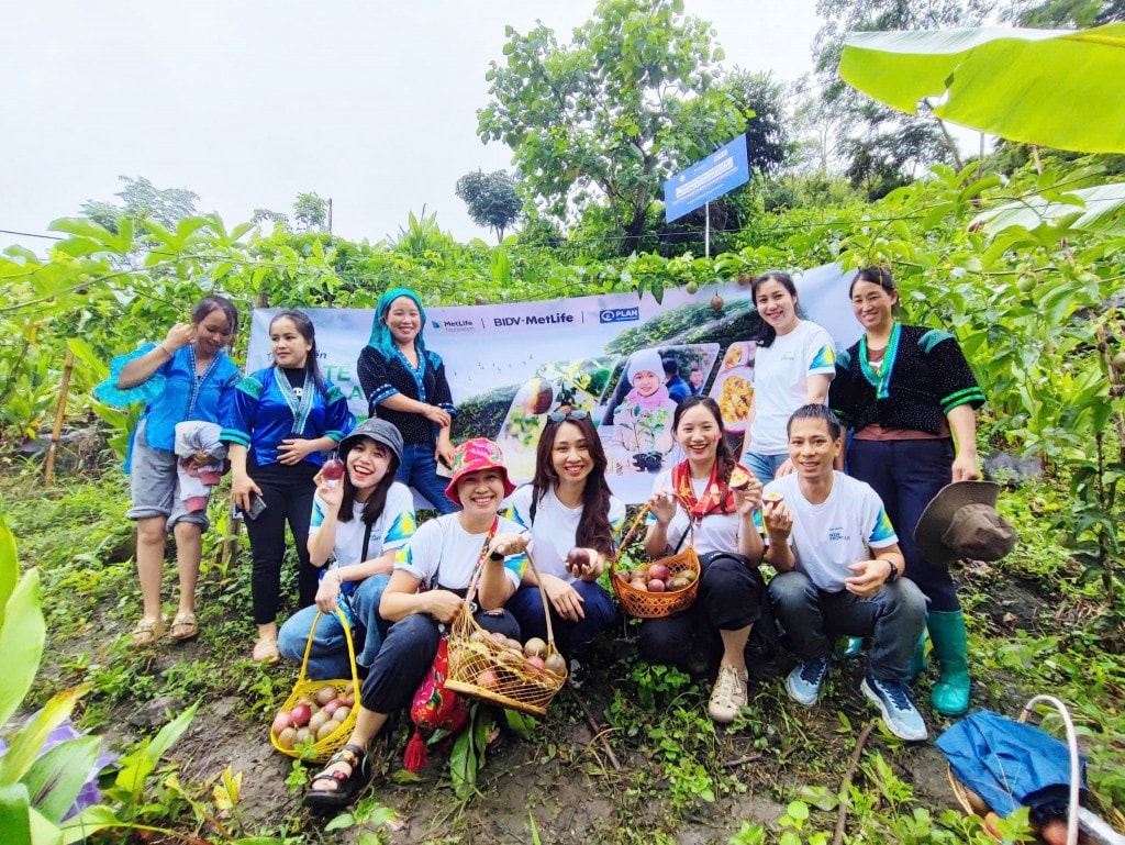 BIDV MetLife cùng Plan International ghi dấu thành quả dự án nông nghiệp bền vững tại Lai Châu