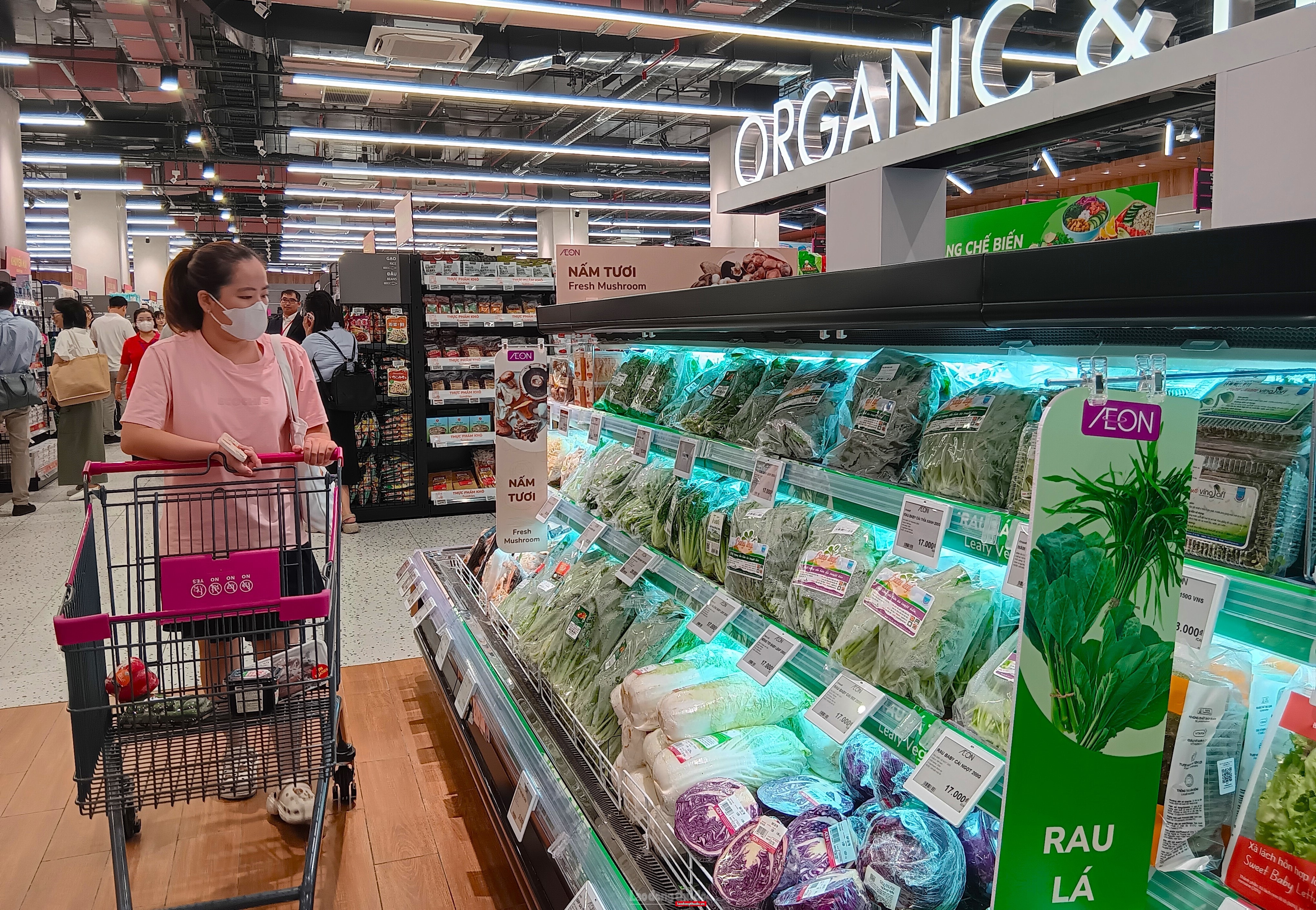 Doanh nghiệp phải trả thuế GTGT 5% đầu vào đối với hàng hóa là các sản phẩm nông nghiệp mua bán ở khâu thương mại