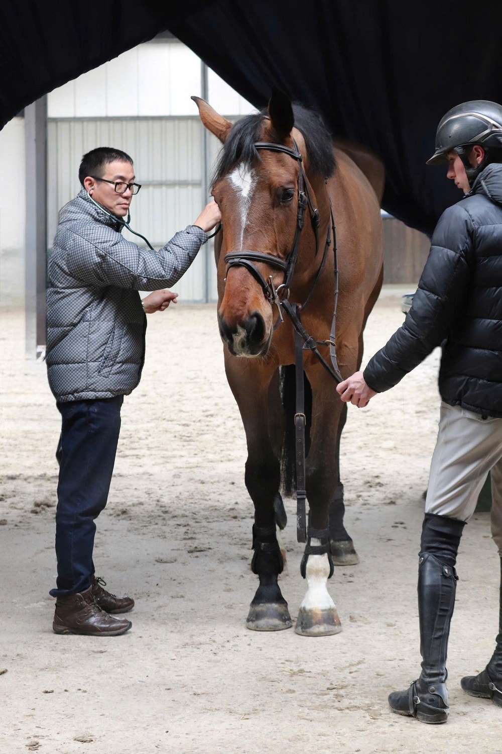 Vinpearl Equestrian Cup 2025: Bước đột phá của thể thao cưỡi ngựa Việt Nam