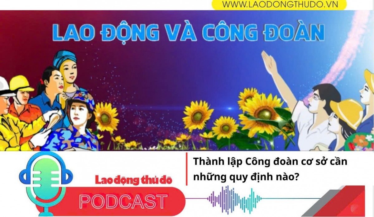Thành lập Công đoàn cơ sở cần những quy định nào