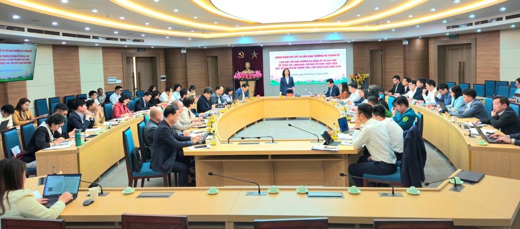Phó Chủ tịch UBND thành phố Hà Nội Vũ Thu Hà làm việc với xã Gia Lâm