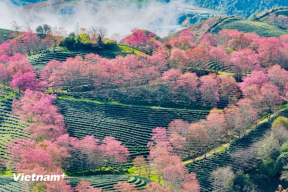 Để đắm mình trong khung cảnh nên thơ của núi rừng Tây Bắc. (Ảnh: Trần Hương Sơn/Vietnam+)