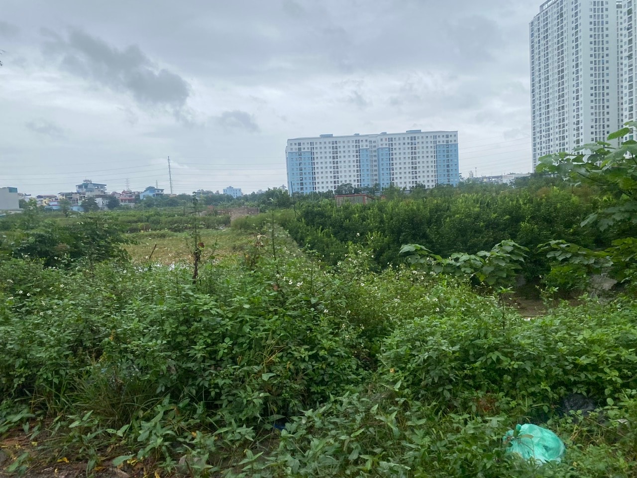 Dự án Khu đô thị Vibex để hoang hóa suốt nhiều năm qua. Ảnh: TB