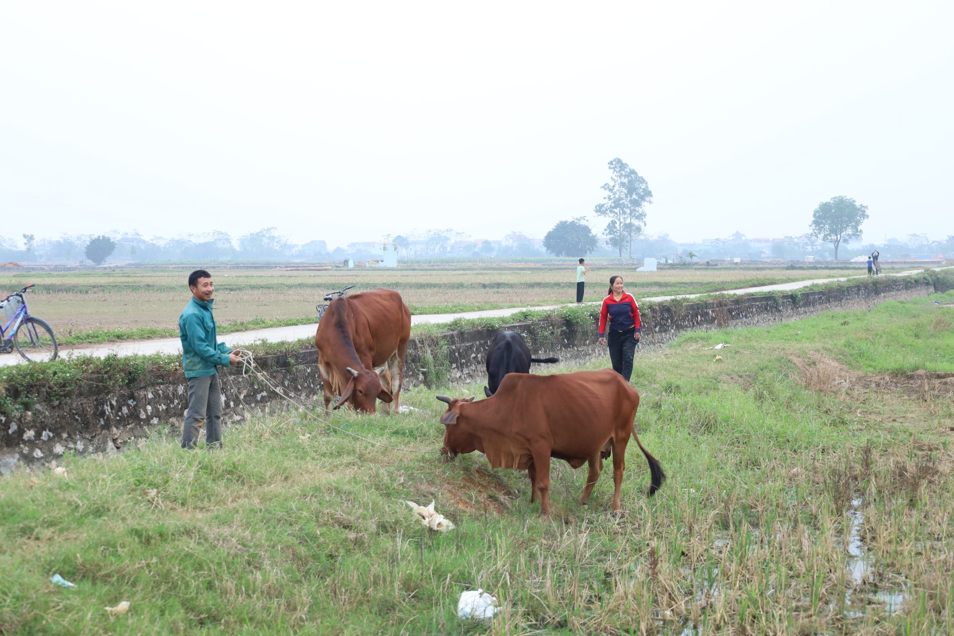 ដោយយល់ឃើញពីកាលៈទេសៈ និងតម្រូវការ សមាគមកសិករឃុំភុកសើនបានជួយឧបត្ថម្ភដល់សមាជិកជាច្រើនក្នុងការអភិវឌ្ឍជីវភាពរស់នៅ និងសកម្មភាពសេដ្ឋកិច្ចរបស់ពួកគេ។ រូបថត៖ គីមញូ