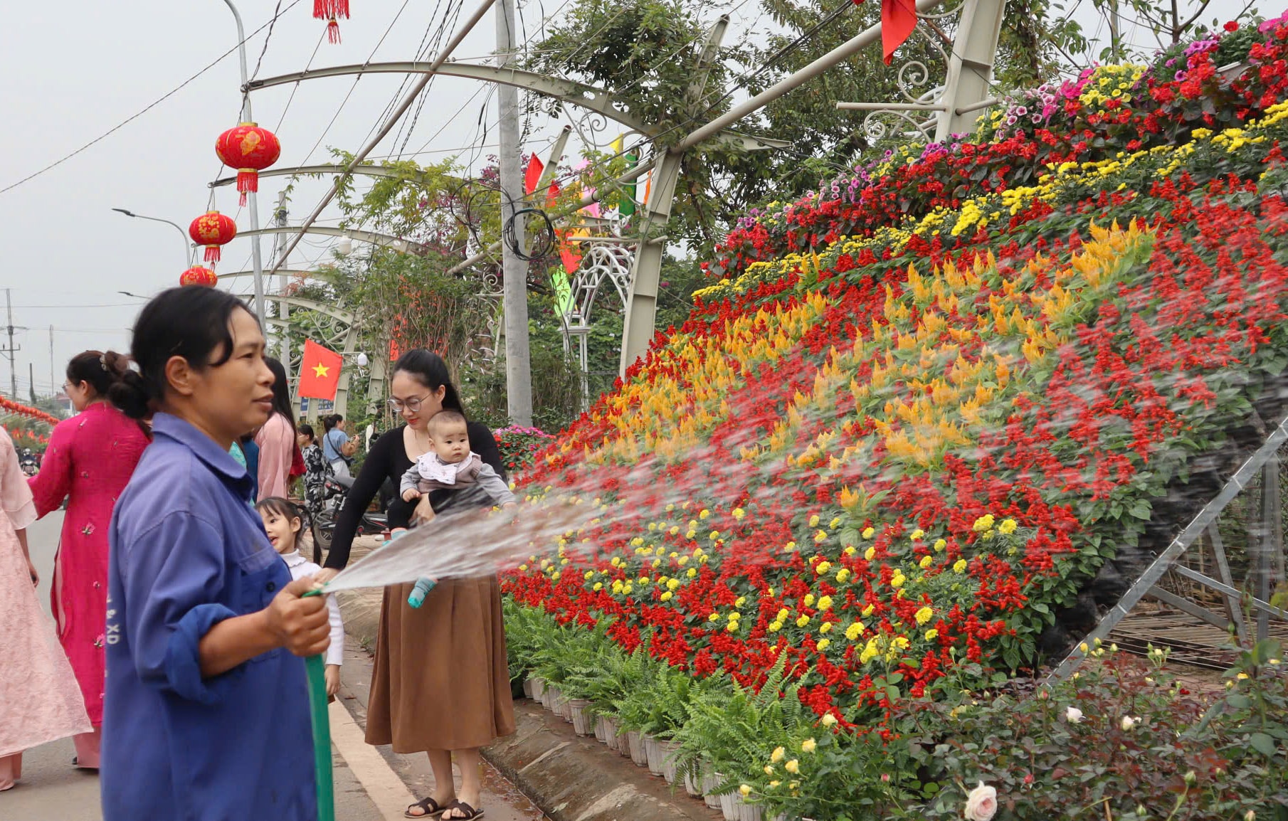 cham-soc-hoa-tai-lang-tich-giang-xa-phuc-tho-..jpg