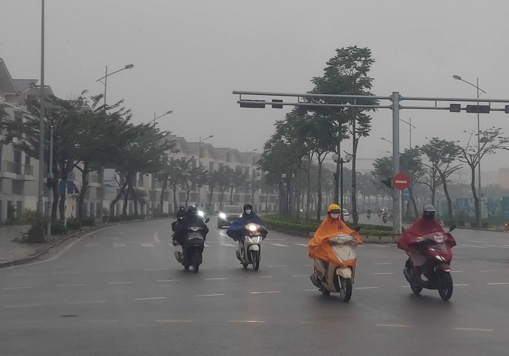 Ảnh minh họa