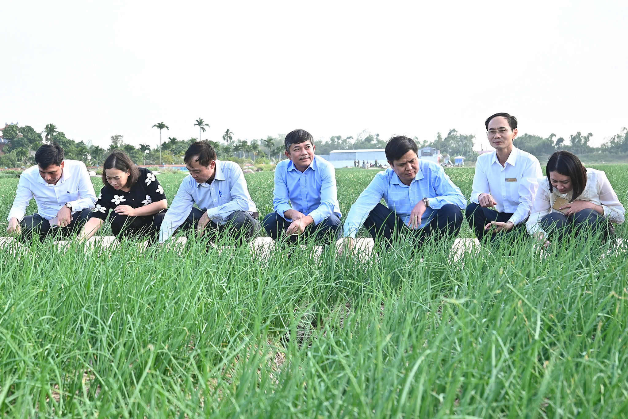 ket-noi-1.jpg