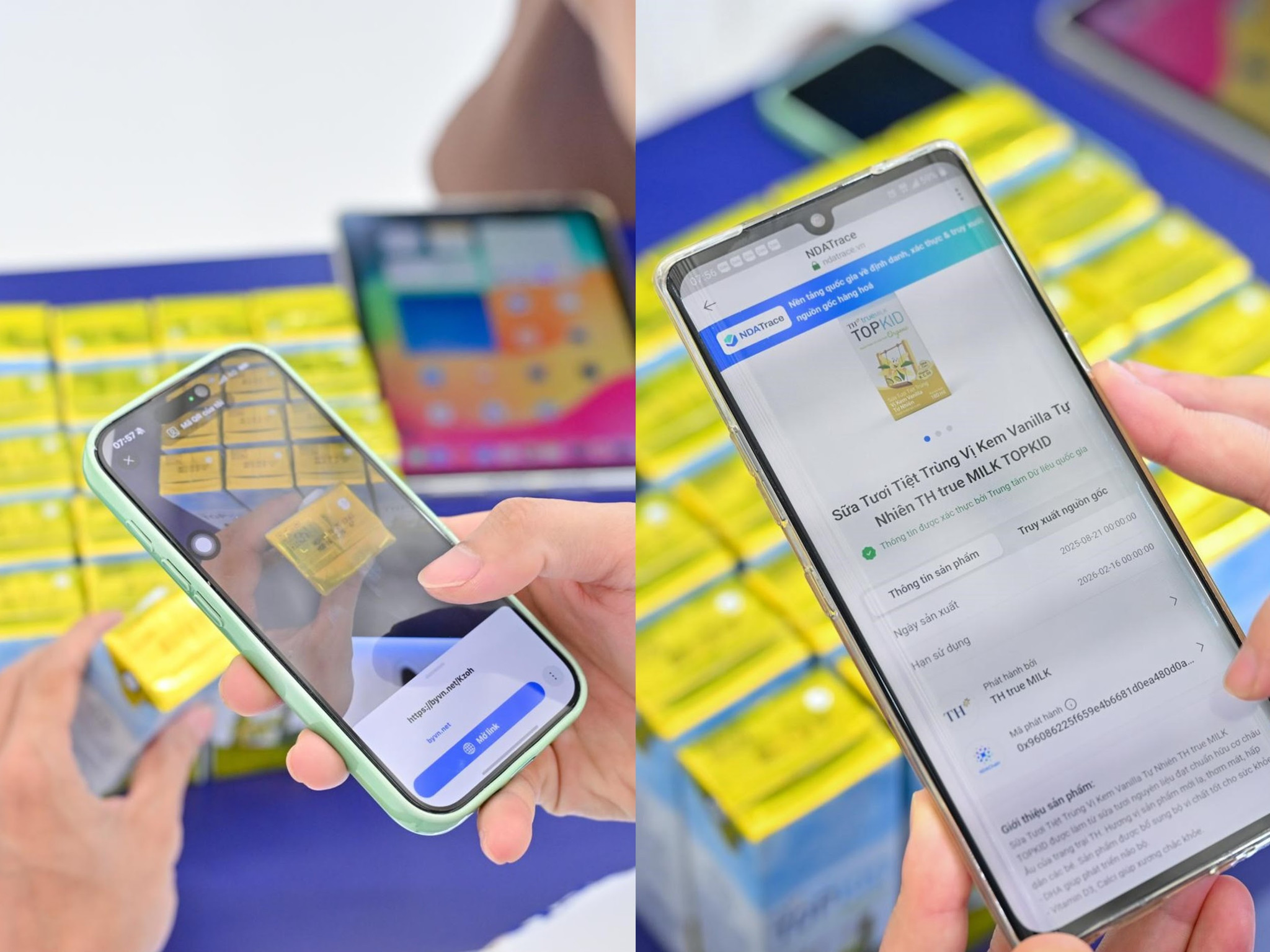 Thông tin truy xuất nguồn gốc sản phẩm được hiển thị rõ ràng, đầy đủ, từ thức ăn của bò sữa, thời gian ăn, loại nguyên liệu, thời điểm vắt sữa và quy trình sản xuất. TH true MILK tiên phong ứng dụng công nghệ, giúp người tiêu dùng truy xuất, giám sát toàn bộ hành trình sản xuất “từ đồng cỏ xanh tới ly sữa sạch”.