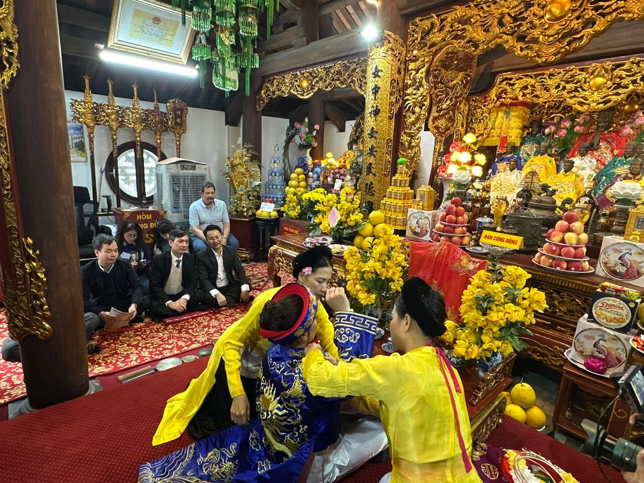 bd9.jpg