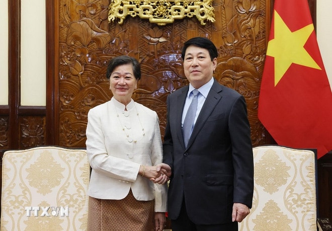 chu-tich-nuoc-luong-cuong-tiep-dai-su-campuchia1.jpg