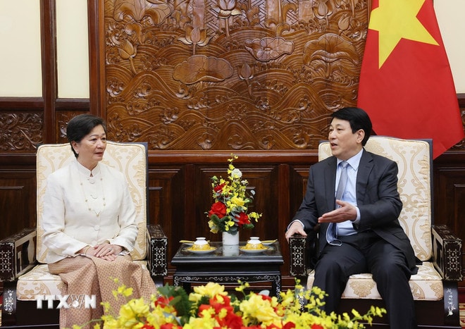 chu-tich-nuoc-luong-cuong-tiep-dai-su-campuchia2.jpg