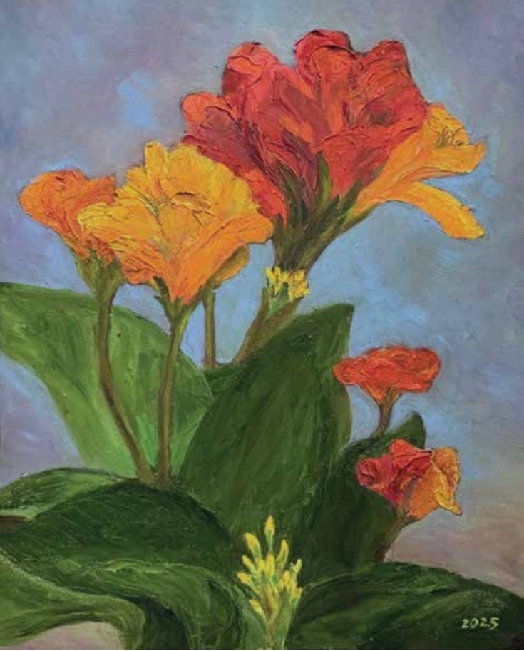 mien-xanh-2.jpg
