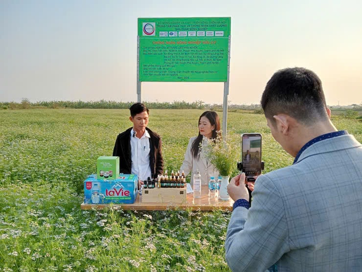 dai-xuyen.jpg