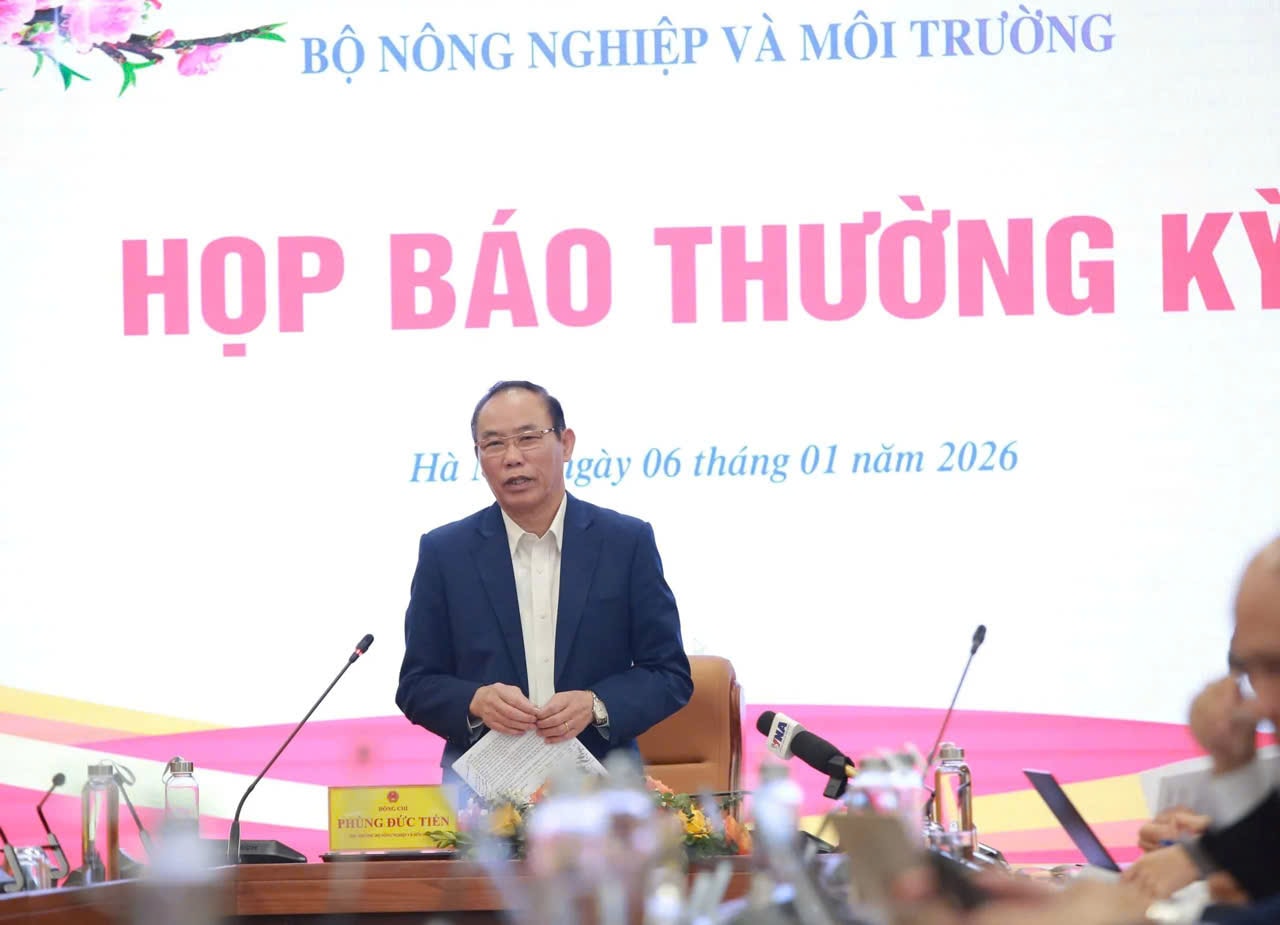 hop-bao-1.jpg
