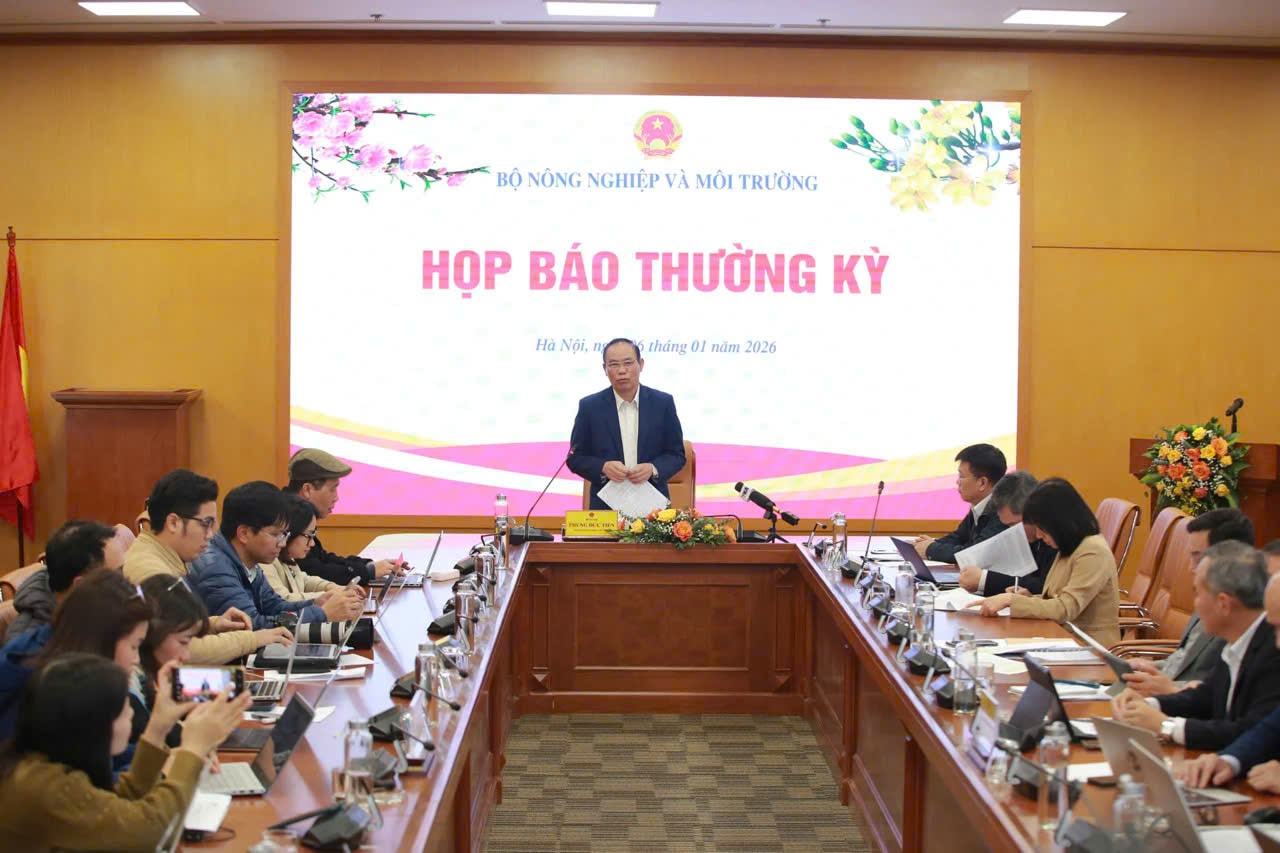 hop-bao.jpg