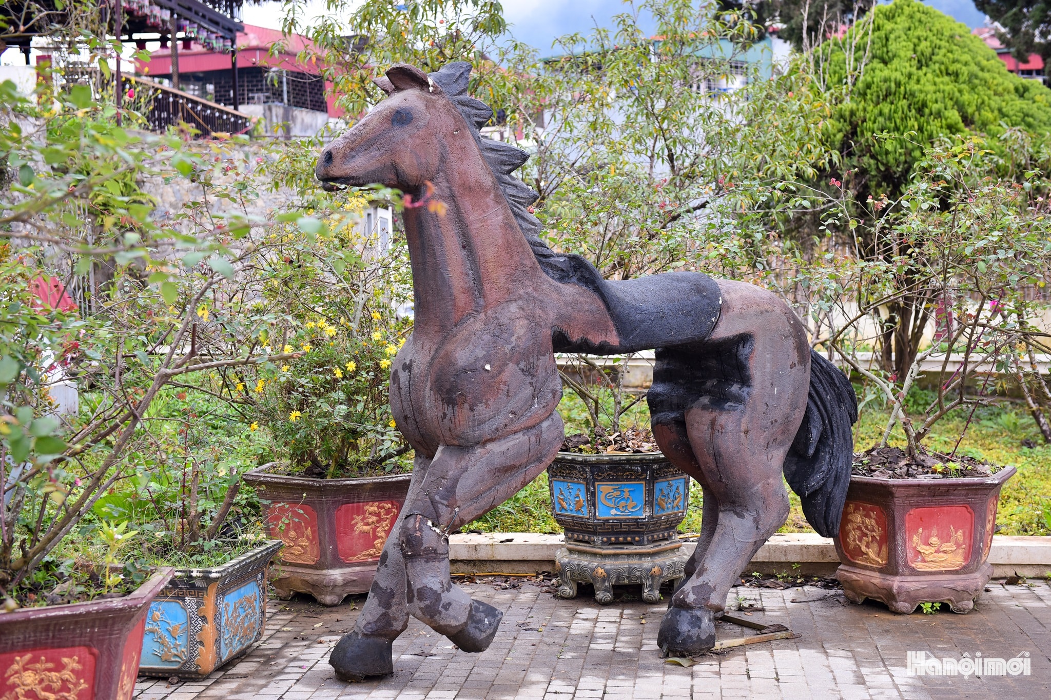 W_dsc_4803.jpg