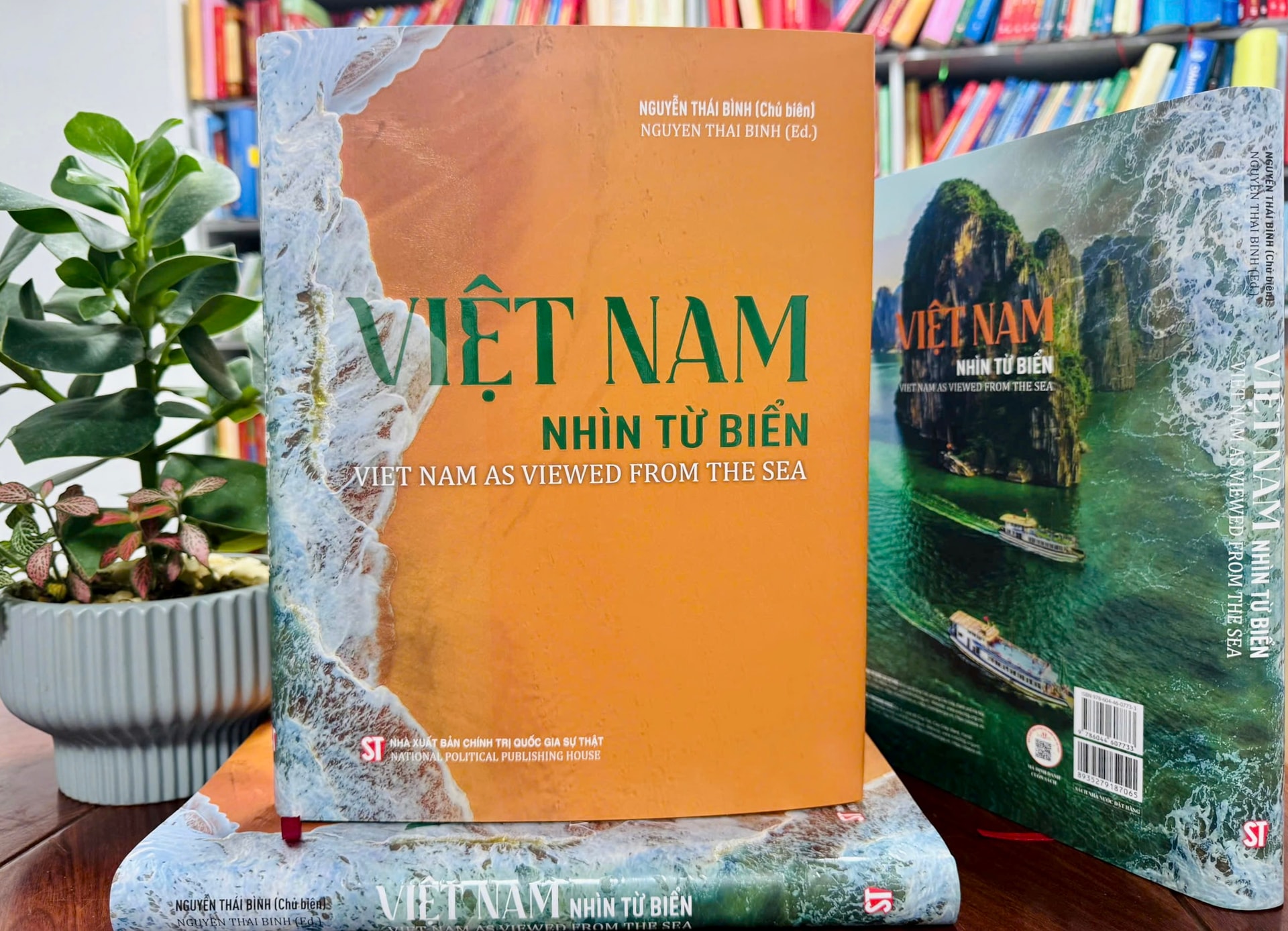 cuon-sach-viet-nam-nhin-tu-bien.jpeg